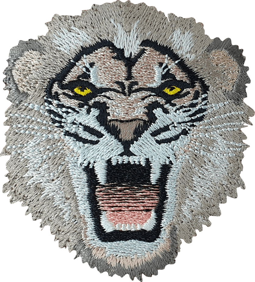Embroidery Patches vs. Sublimation Patches - Elegant Patches